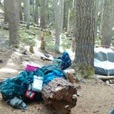 Review photo of Fire Creek Camp by Danielle S., August 27, 2018