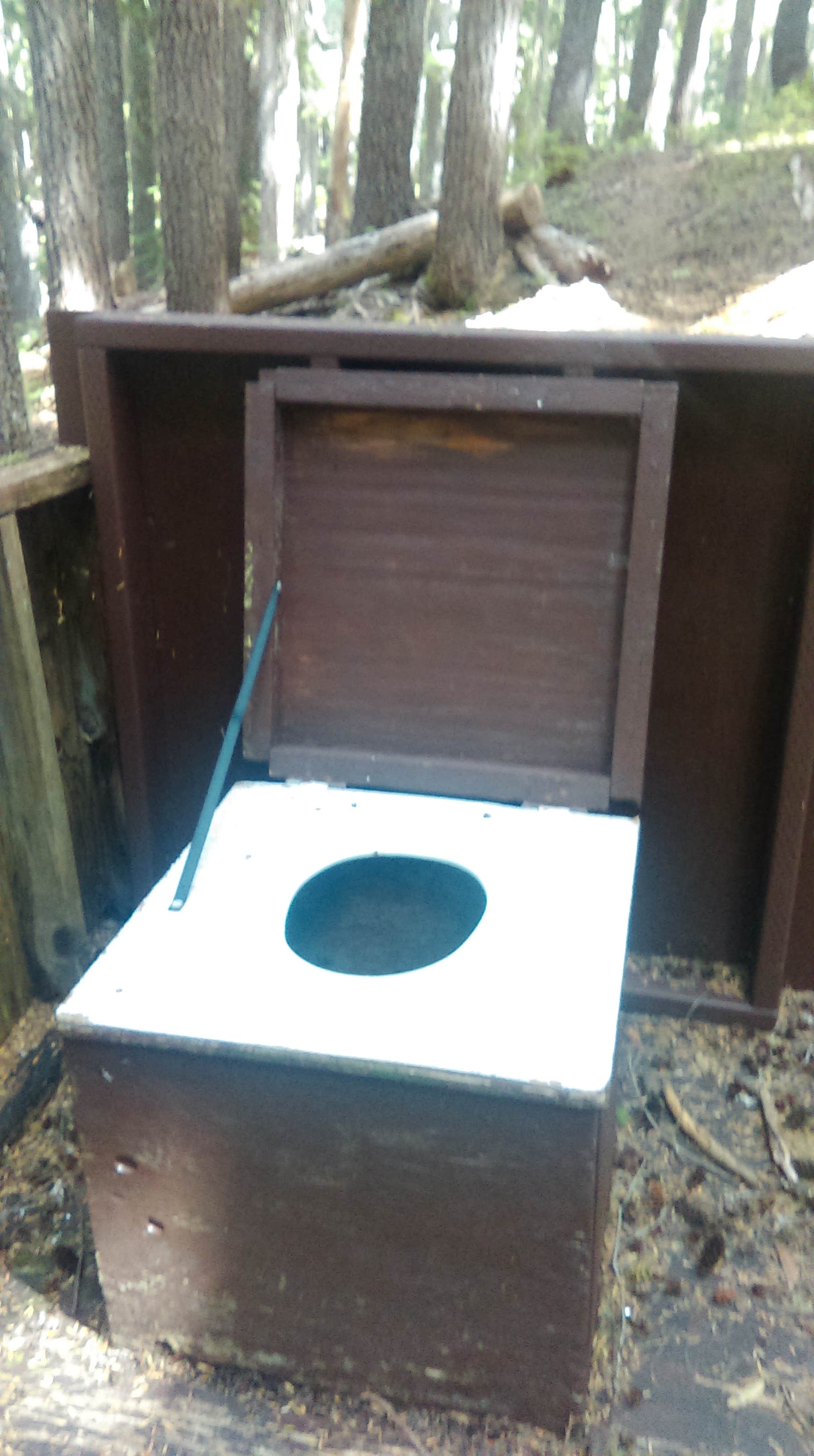 Camper-submitted photo at Fire Creek Camp — Mount Rainier National Park near Greenwater, WA