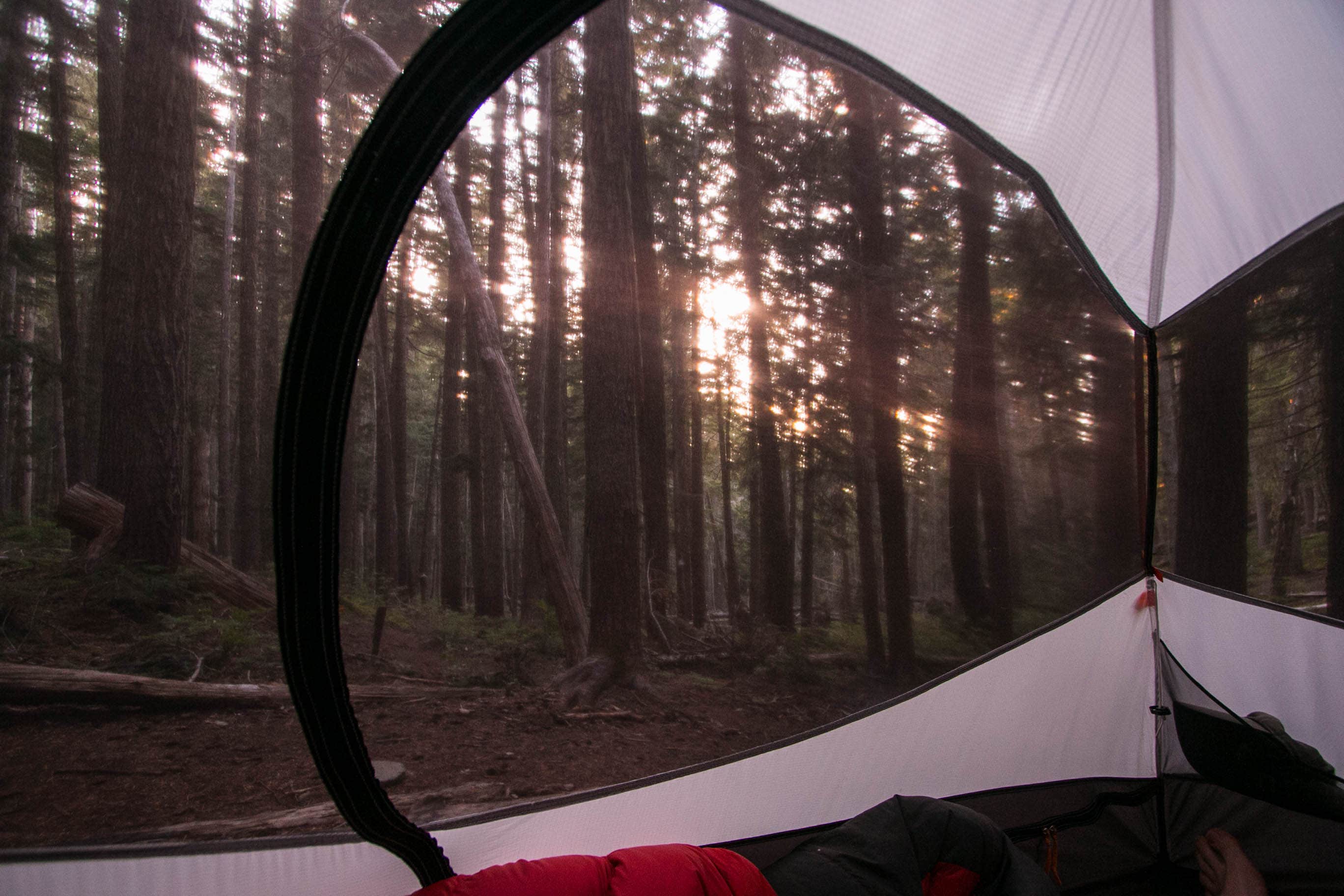 Camper-submitted photo at Fire Creek Camp — Mount Rainier National Park near Greenwater, WA