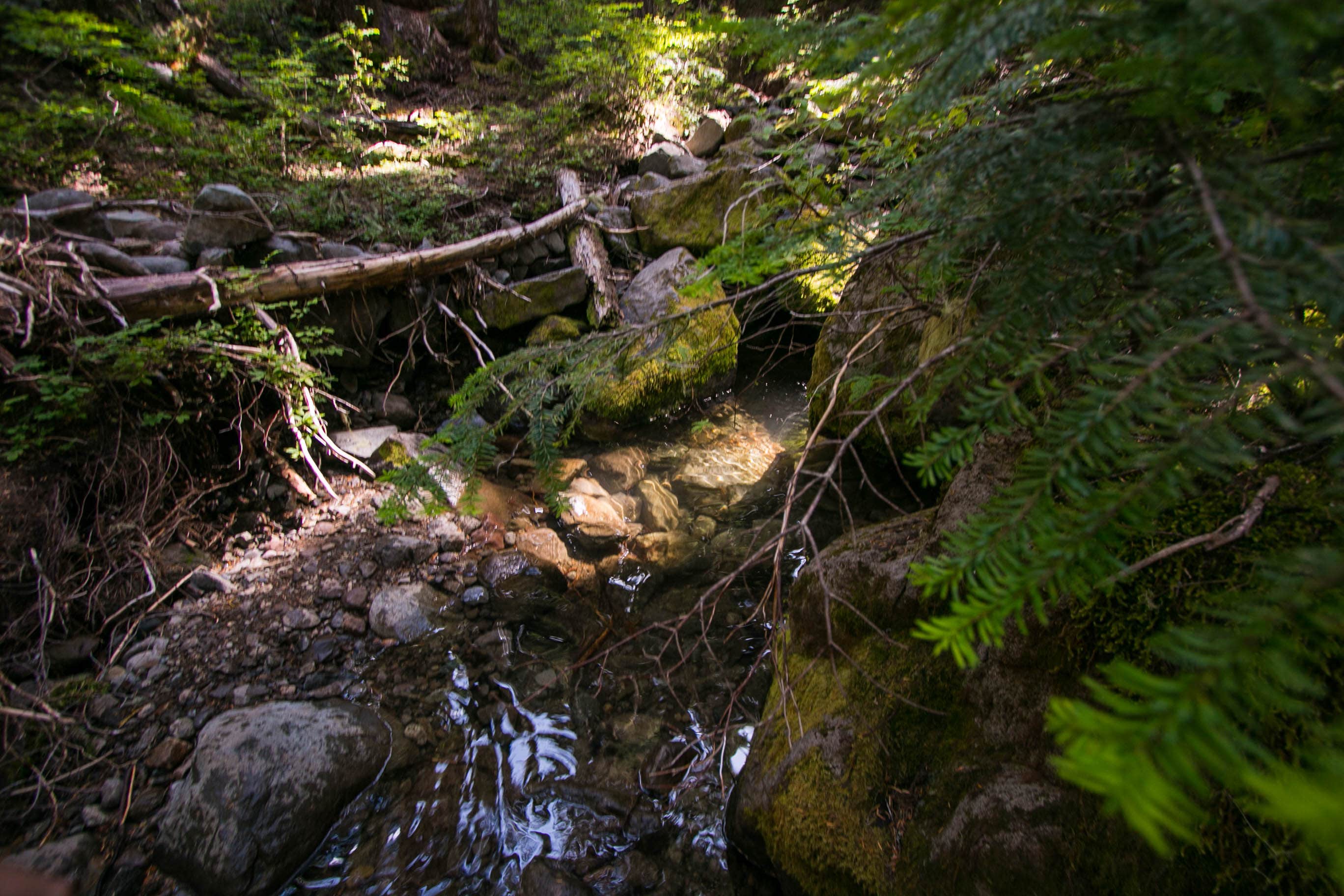 Camper-submitted photo at Fire Creek Camp — Mount Rainier National Park near Greenwater, WA
