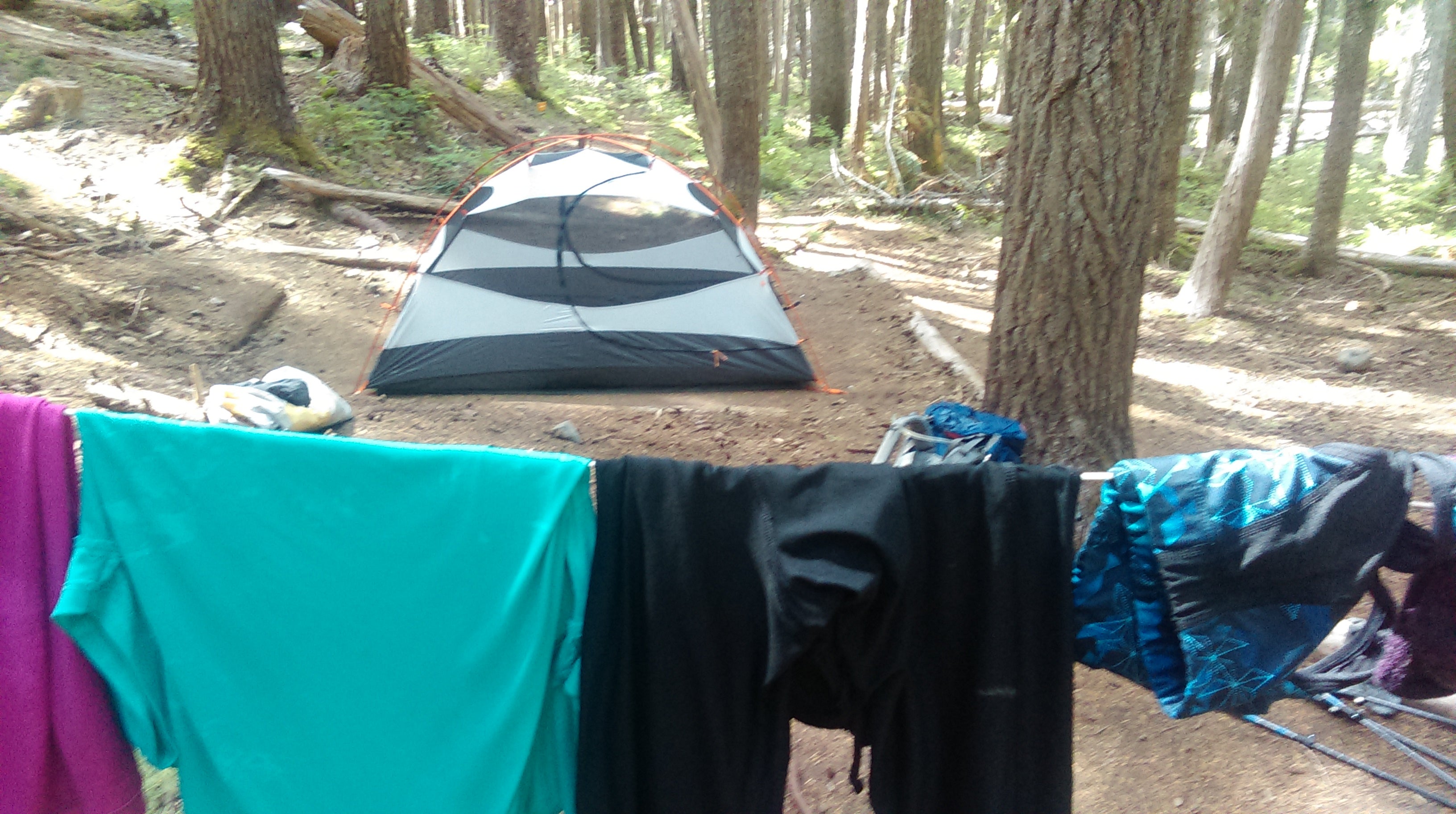 Camper submitted image from Fire Creek Camp — Mount Rainier National Park - 1