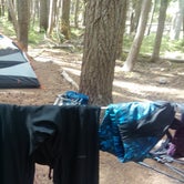 Review photo of Fire Creek Camp — Mount Rainier National Park by Danielle S., August 27, 2018