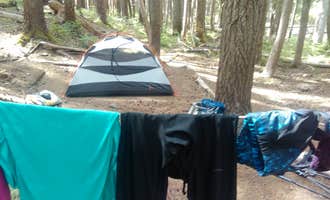 Camping near Granite Creek Camp — Mount Rainier National Park: Fire Creek Camp — Mount Rainier National Park, Mount Rainier National Park, Washington