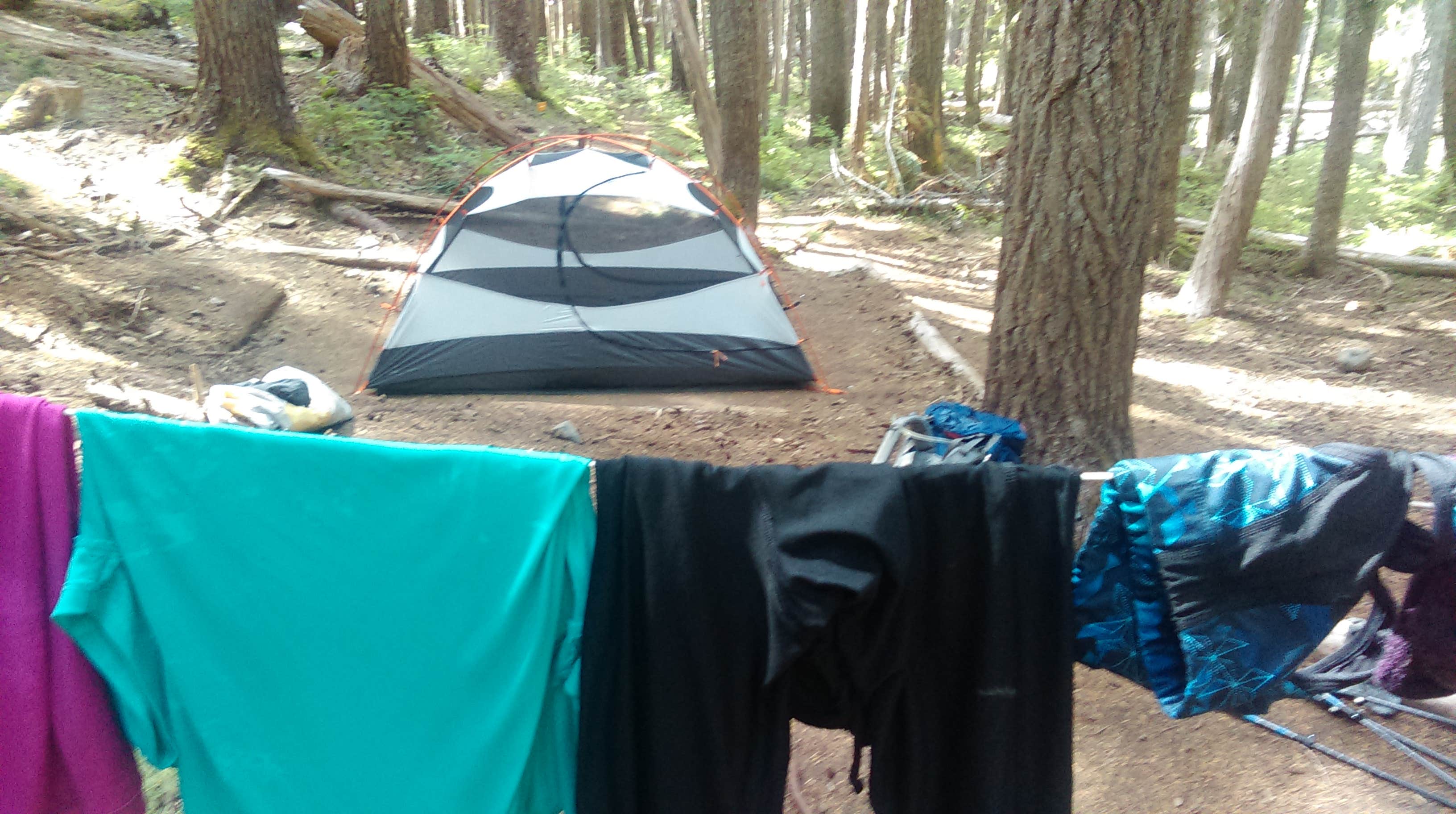 Camper submitted image from Fire Creek Camp - 1