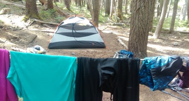 Fire Creek Camp