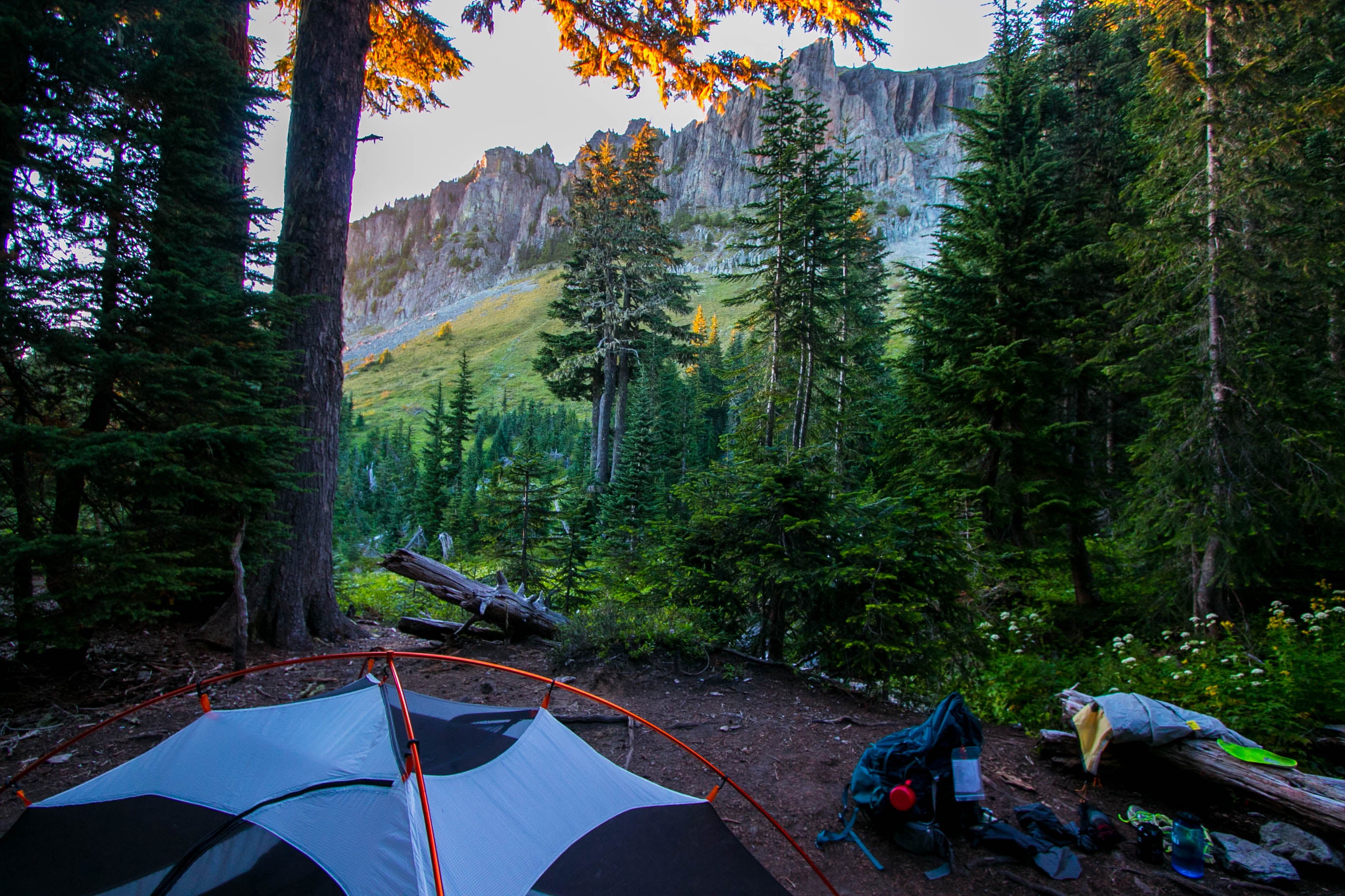 Camper submitted image from Yellowstone Cliffs Camp — Mount Rainier National Park - 4