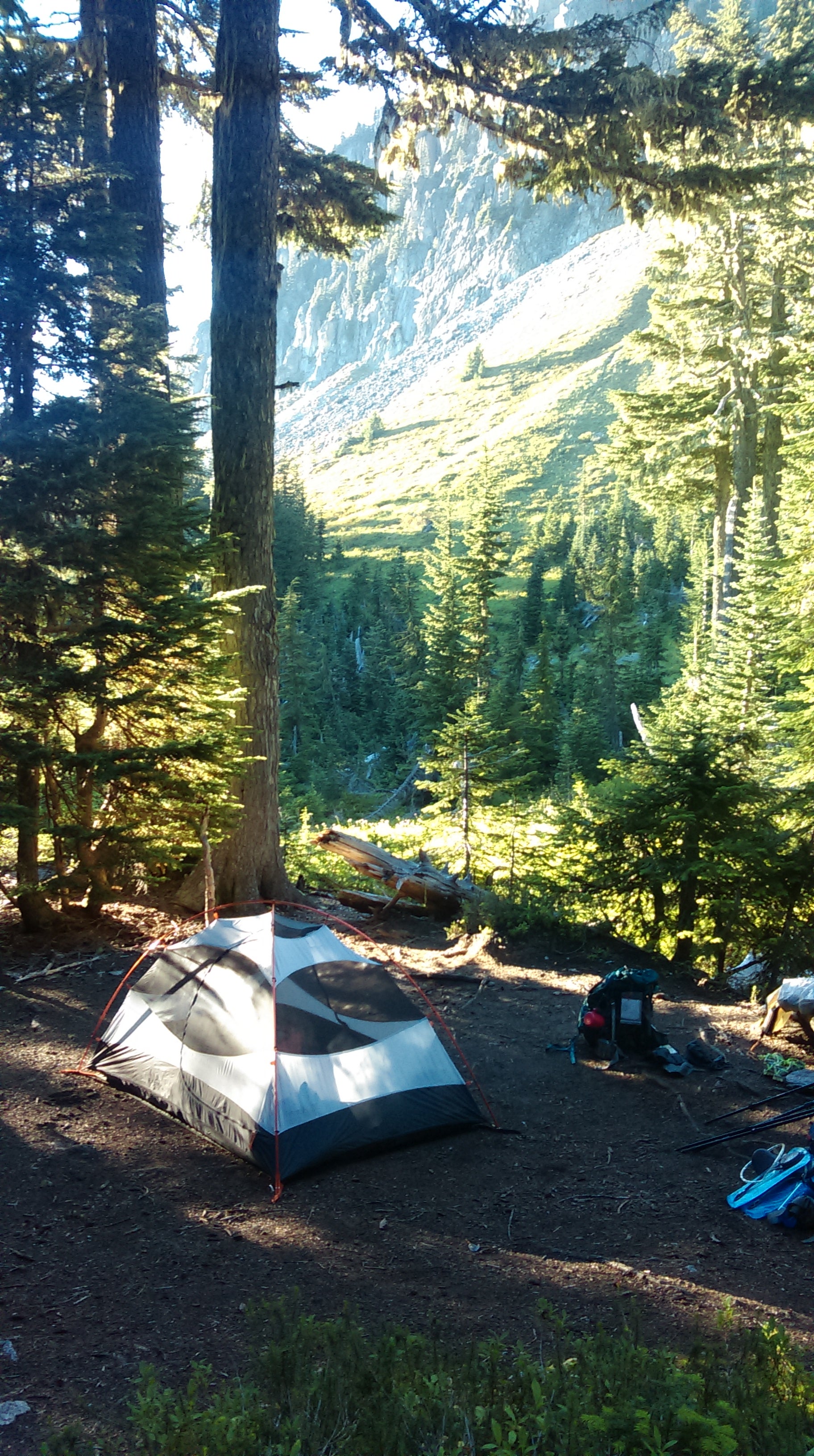 Camper submitted image from Yellowstone Cliffs Camp — Mount Rainier National Park - 3