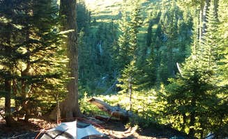 Danielle S.'s photo of tent camping at Yellowstone Cliffs Camp — Mount Rainier National Park near Greenwater, WA