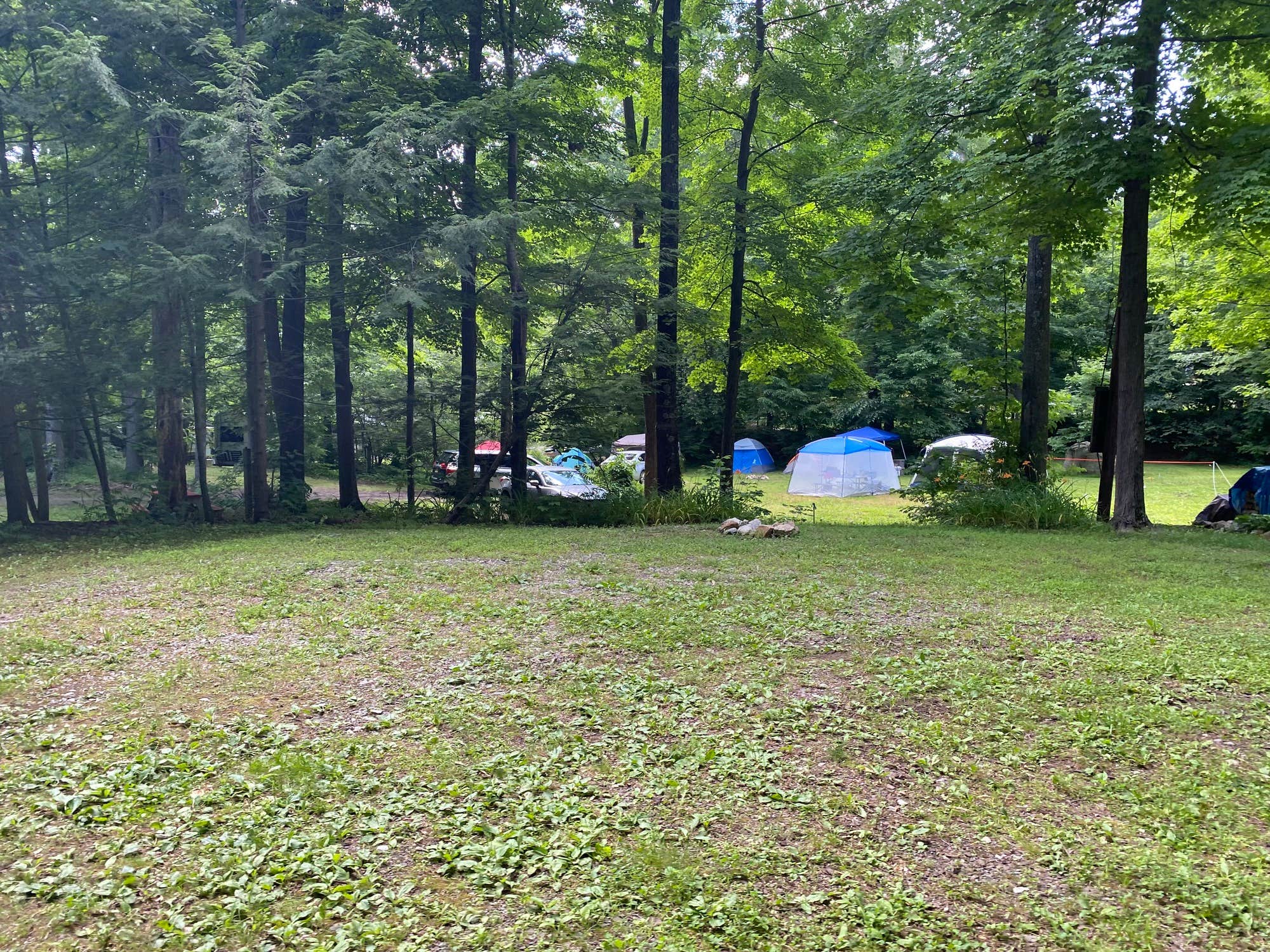 The Dyrt's photo at Woodland Trails near Ringwood, NJ