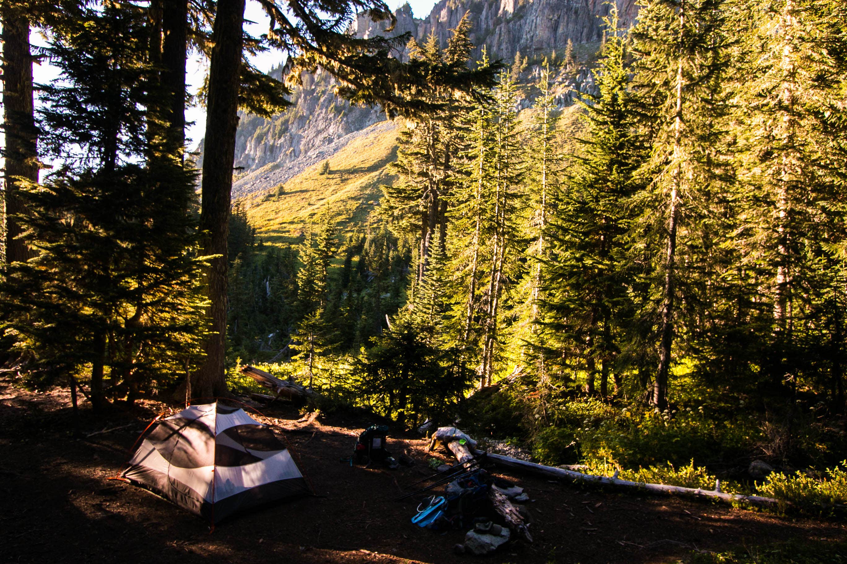 Danielle S.'s photo of tent camping at Yellowstone Cliffs Camp — Mount Rainier National Park near Buckley, WA