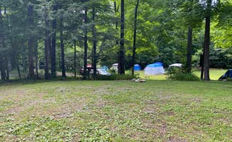 The Dyrt's photo at Woodland Trails near Sloatsburg, NY
