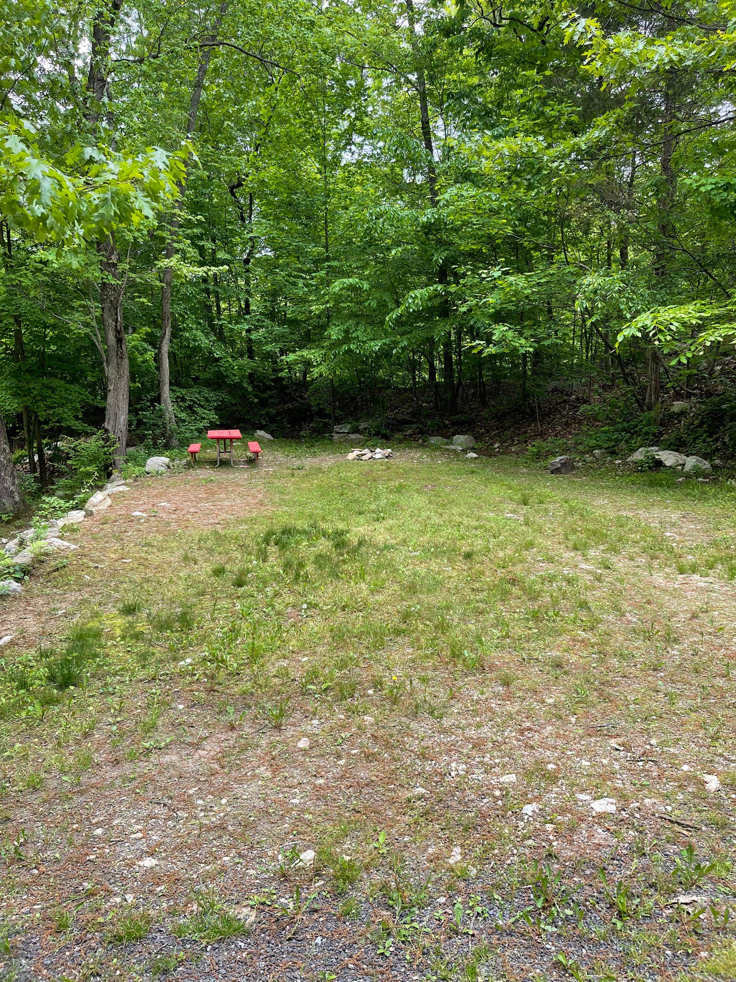 The Dyrt's photo at Woodland Trails near Ramsey, NJ