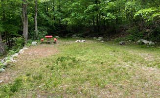 The Dyrt's photo at Woodland Trails near Jefferson, NJ