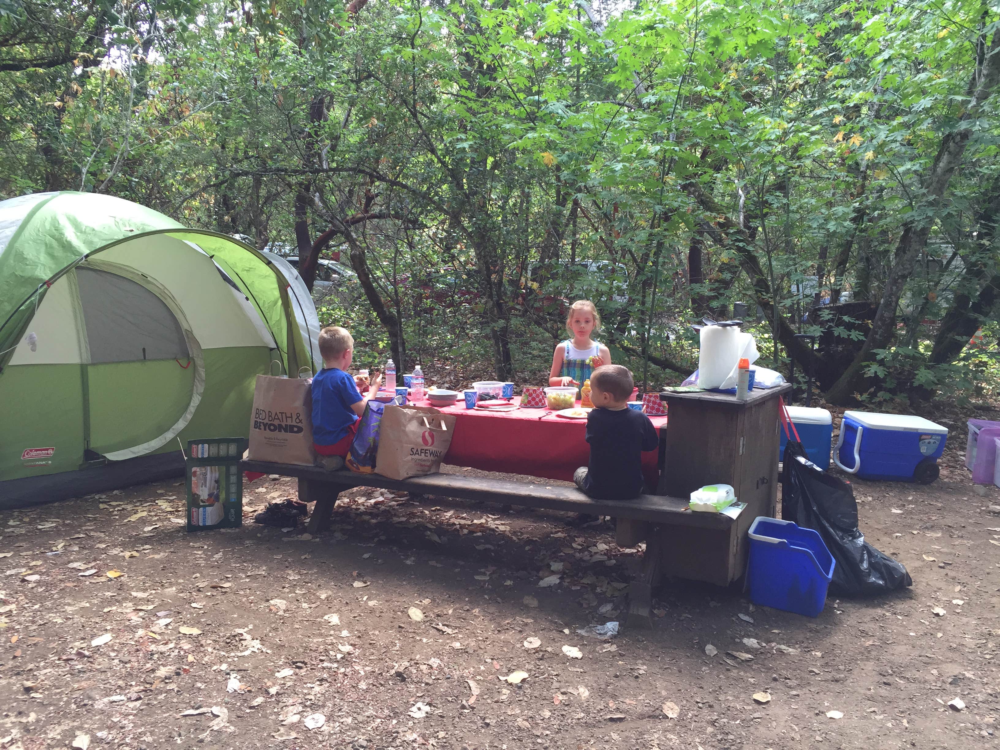 Bed bath on sale and beyond tents