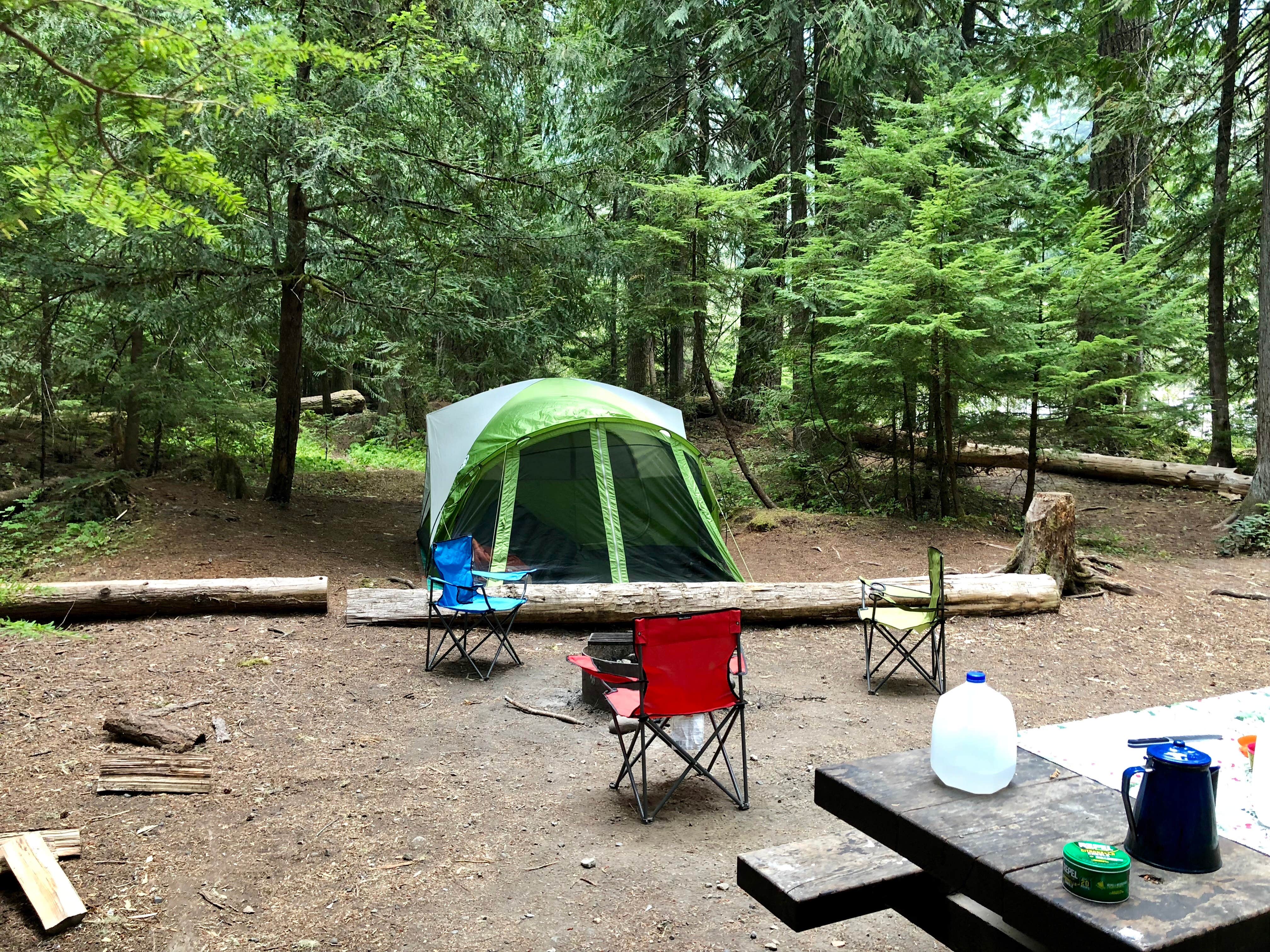 Camper submitted image from Silver Springs Campground - 5