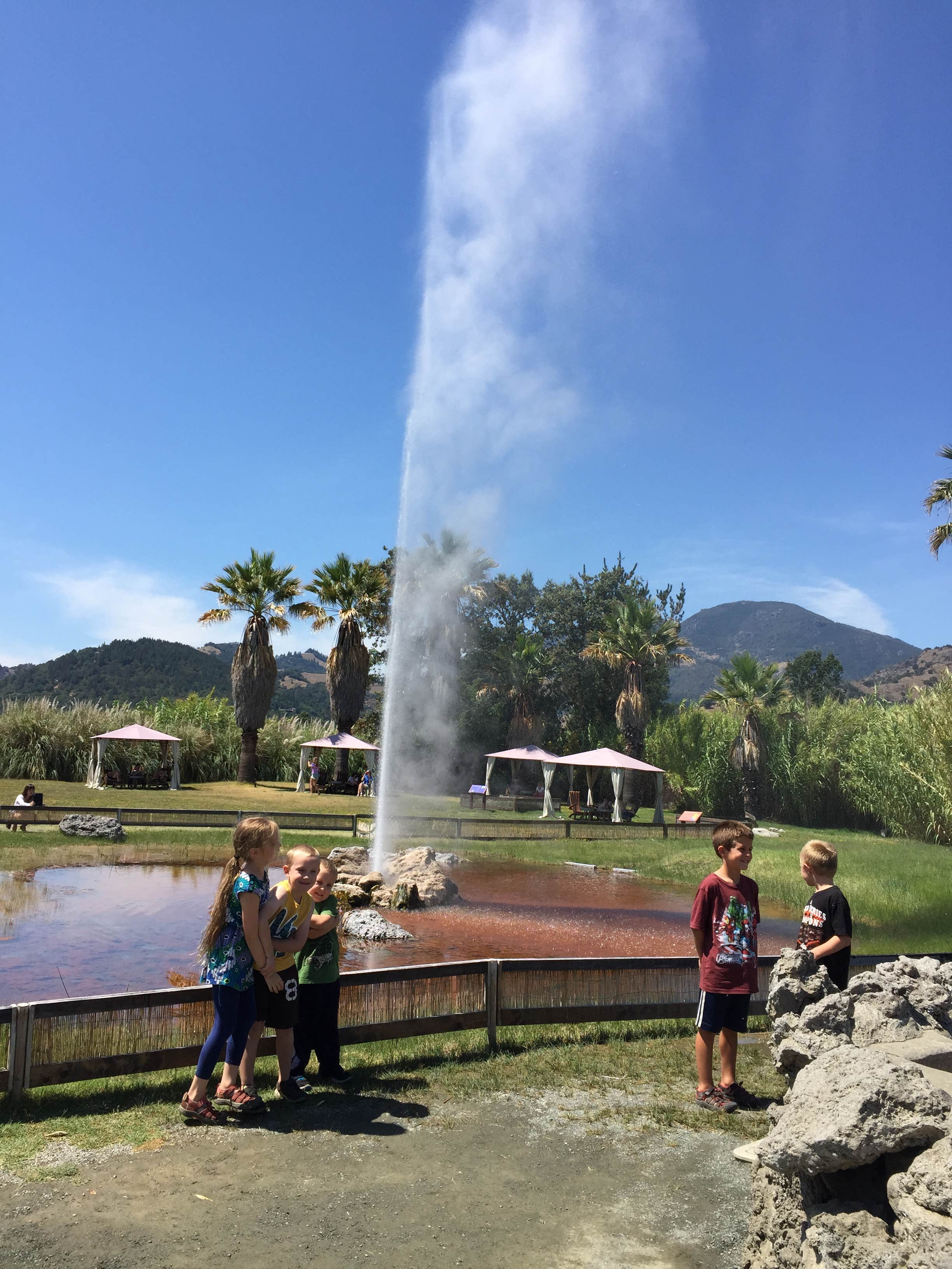 Camper submitted image from Ritchey Creek Campground — Bothe-Napa Valley State Park - 5