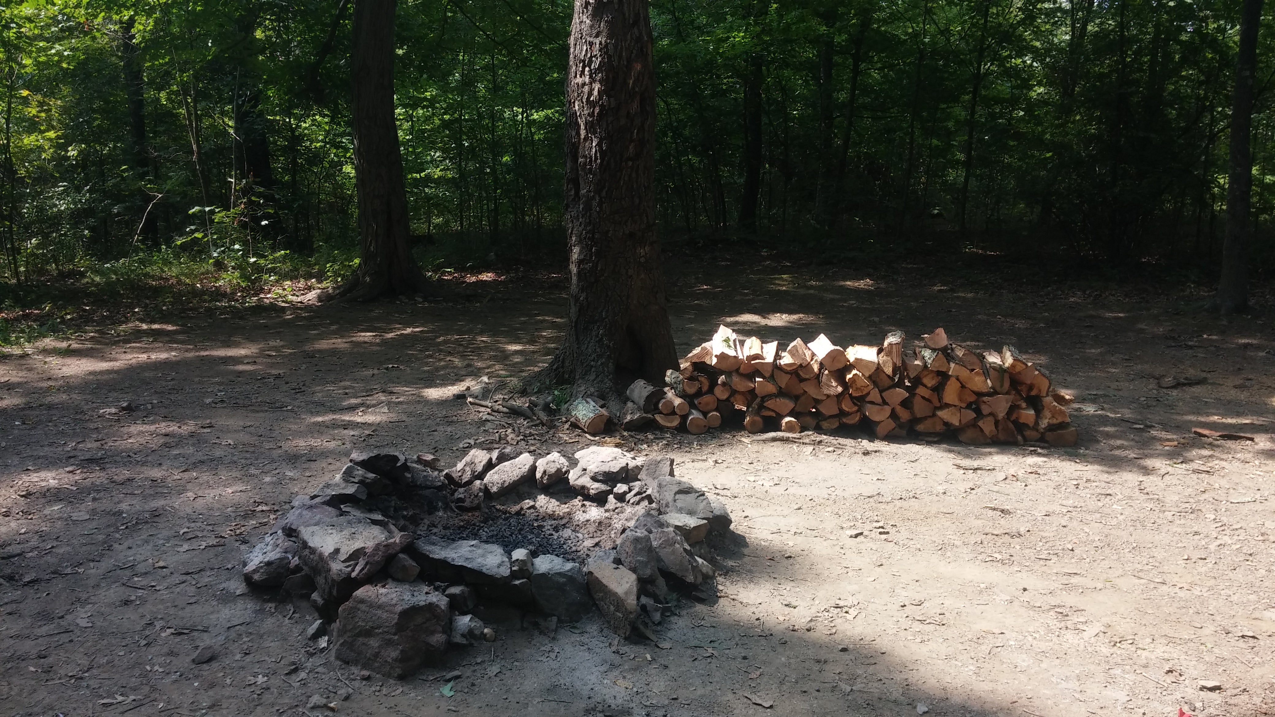 A typical site comes with a fire ring and a picnic bench.  We got lucky and someone left wood.