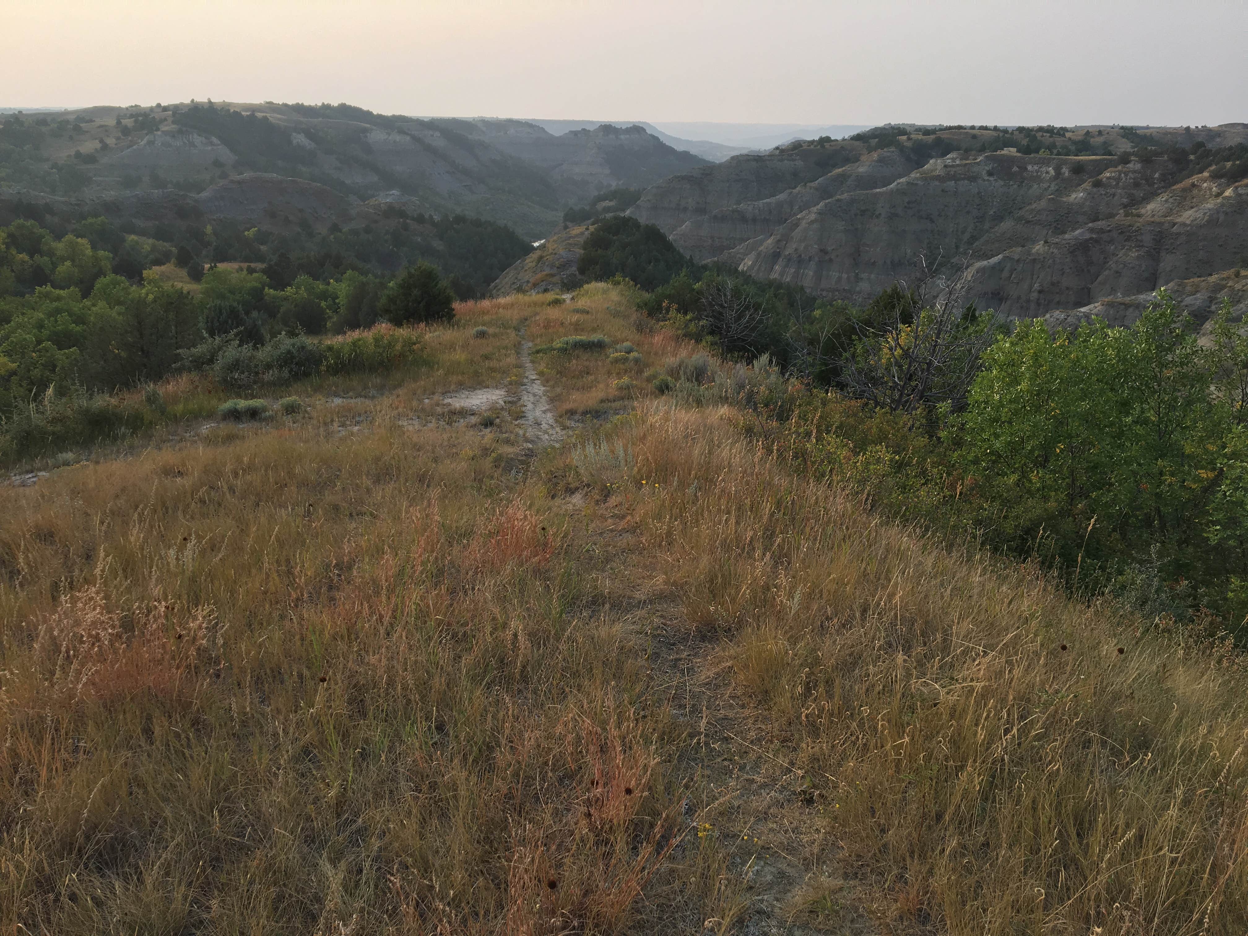 Nature