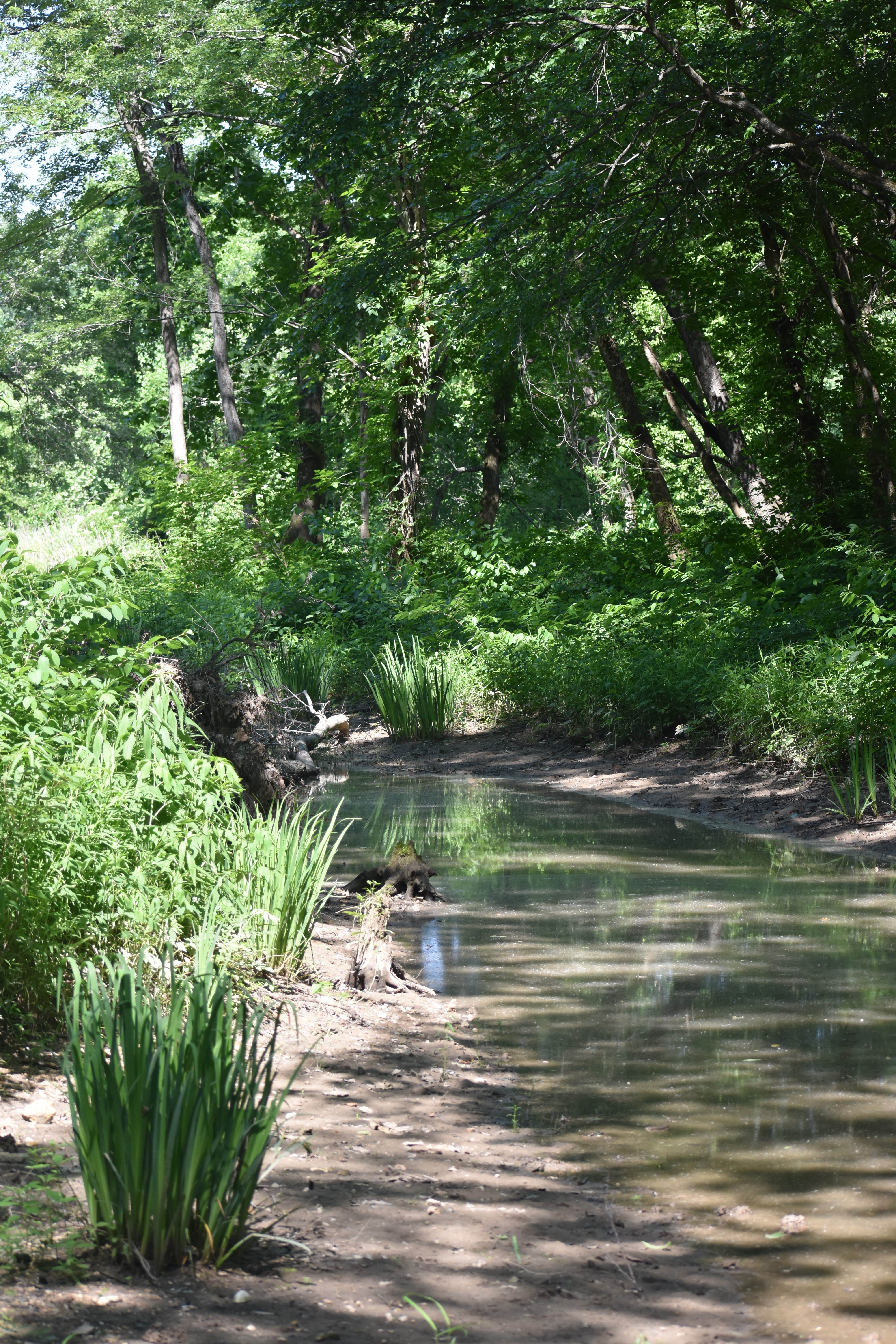 Camper-submitted photo at Onondaga Cave State Park Campground in Missouri