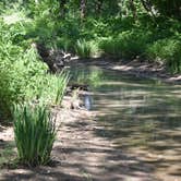 Review photo of Onondaga Cave State Park Campground by Linda S., August 27, 2018