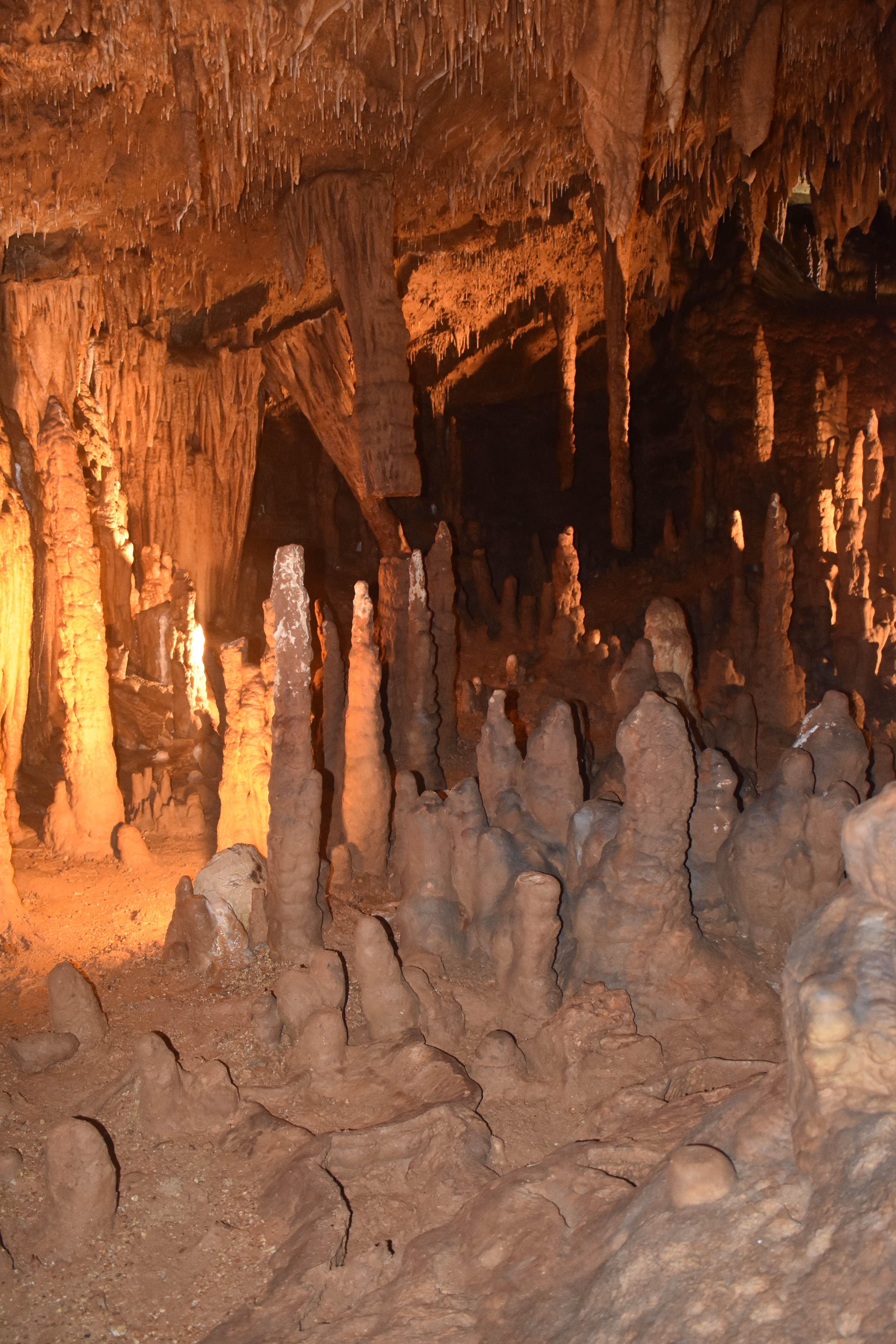 Camper-submitted photo at Onondaga Cave State Park Campground in Missouri