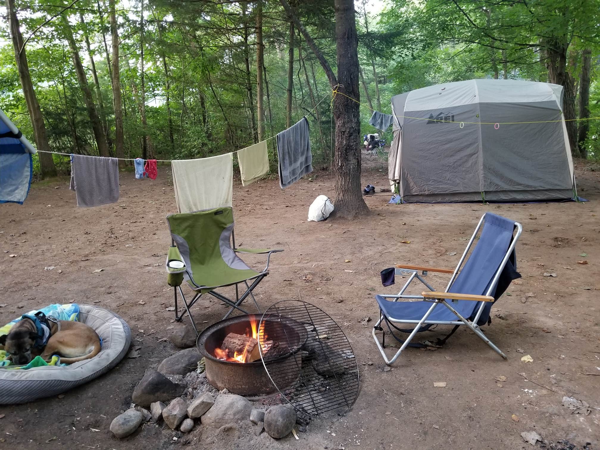 Camper submitted image from Dingmans Campground — Delaware Water Gap National Recreation Area - 3