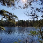 Review photo of Belleplain State Forest by Maggie  H., August 27, 2018