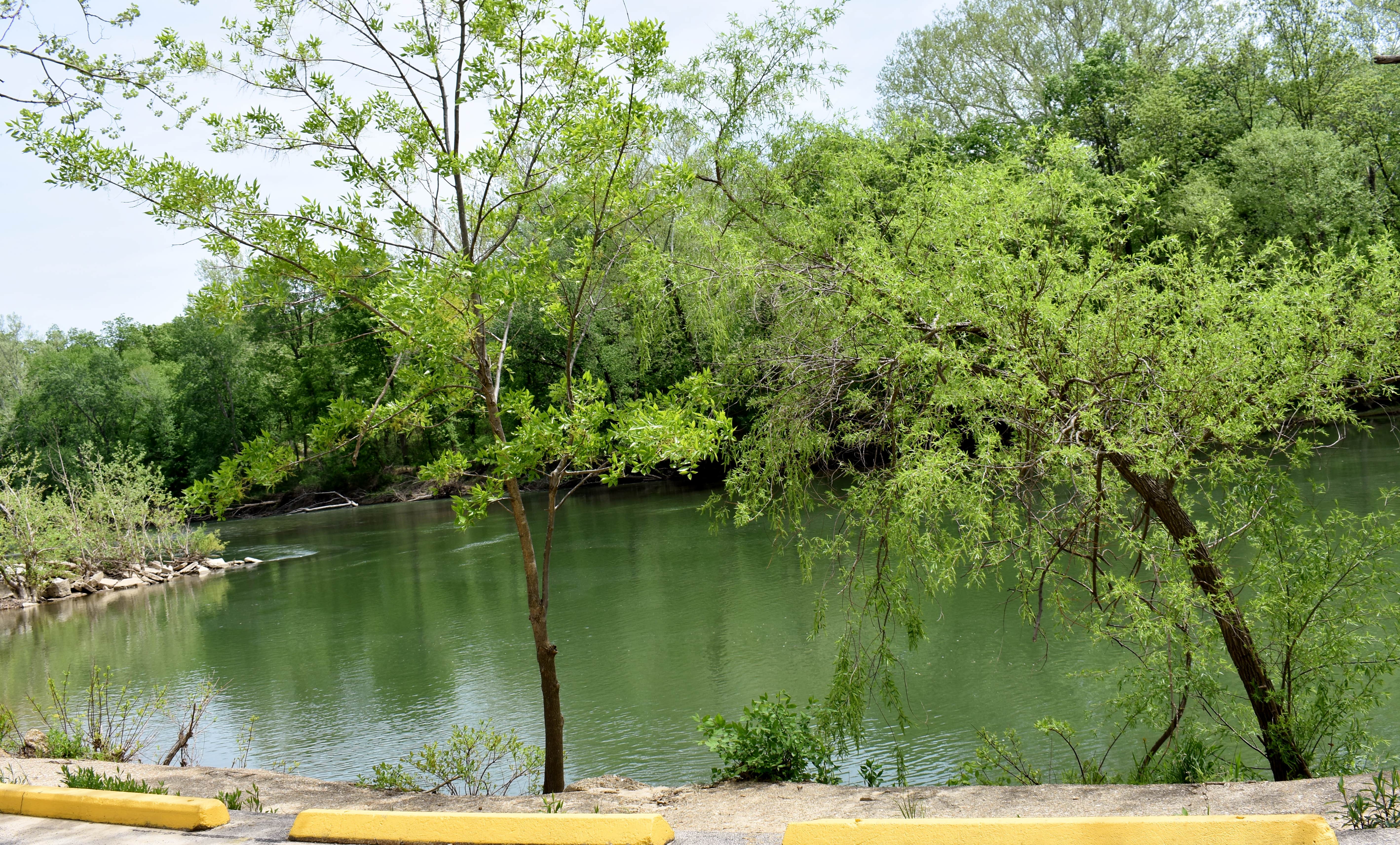 Camper-submitted photo at Meramec Caverns Natural Campground near Marthasville, MO