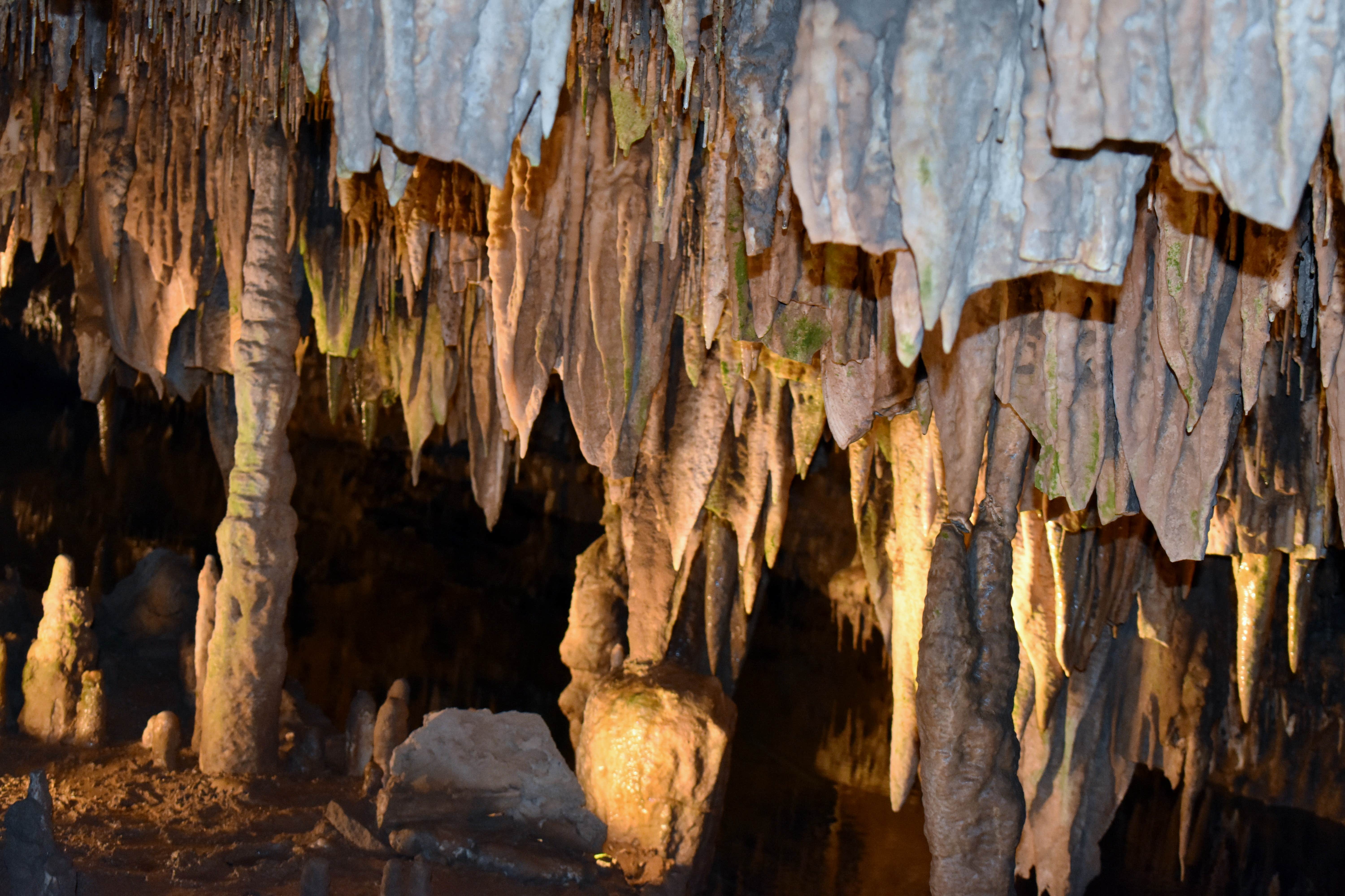 Camper-submitted photo at Meramec Caverns Natural Campground near Owensville, MO