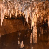Review photo of Meramec Caverns by Linda S., August 27, 2018