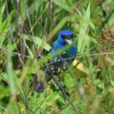 Review photo of Timbuktu Campground — Echo Bluff State Park by Linda S., August 27, 2018