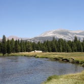 Review photo of Tuolumne Meadows Campground — Yosemite National Park by Michelle C., August 27, 2018