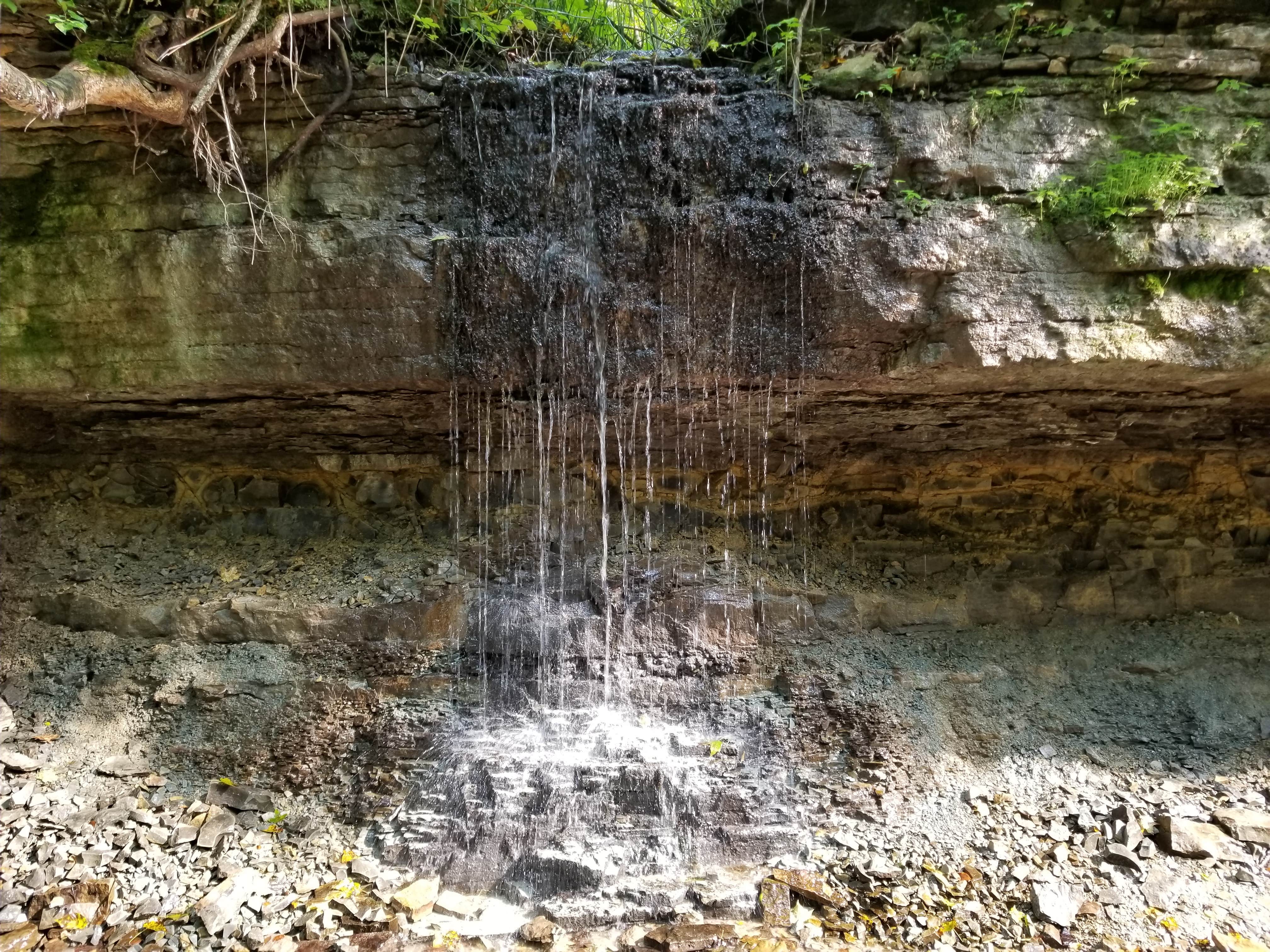 Camper-submitted photo at Nerstrand Big Woods State Park Campground near Faribault, MN