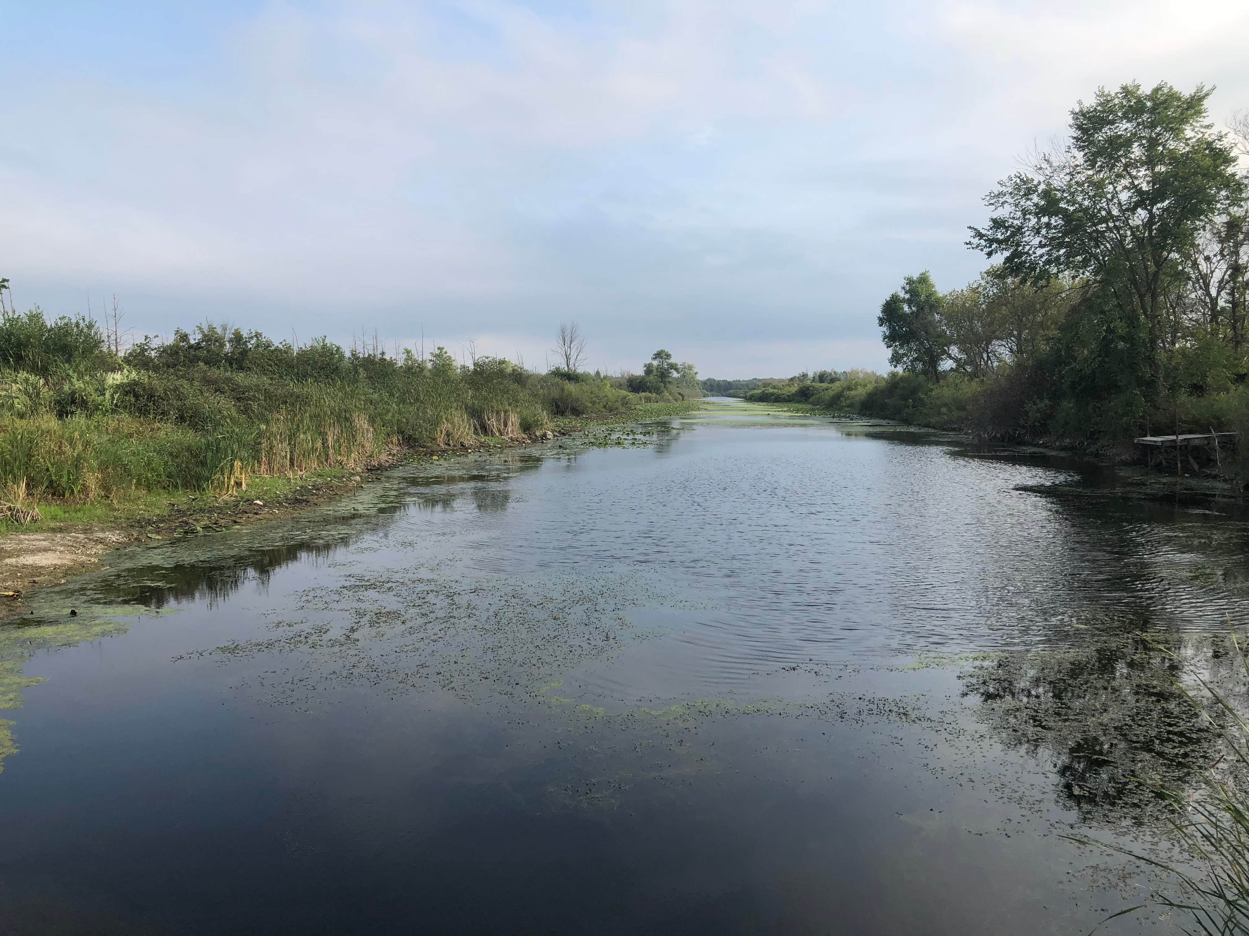 Camper submitted image from Broughton Sheboygan Marsh Park Campground - 3