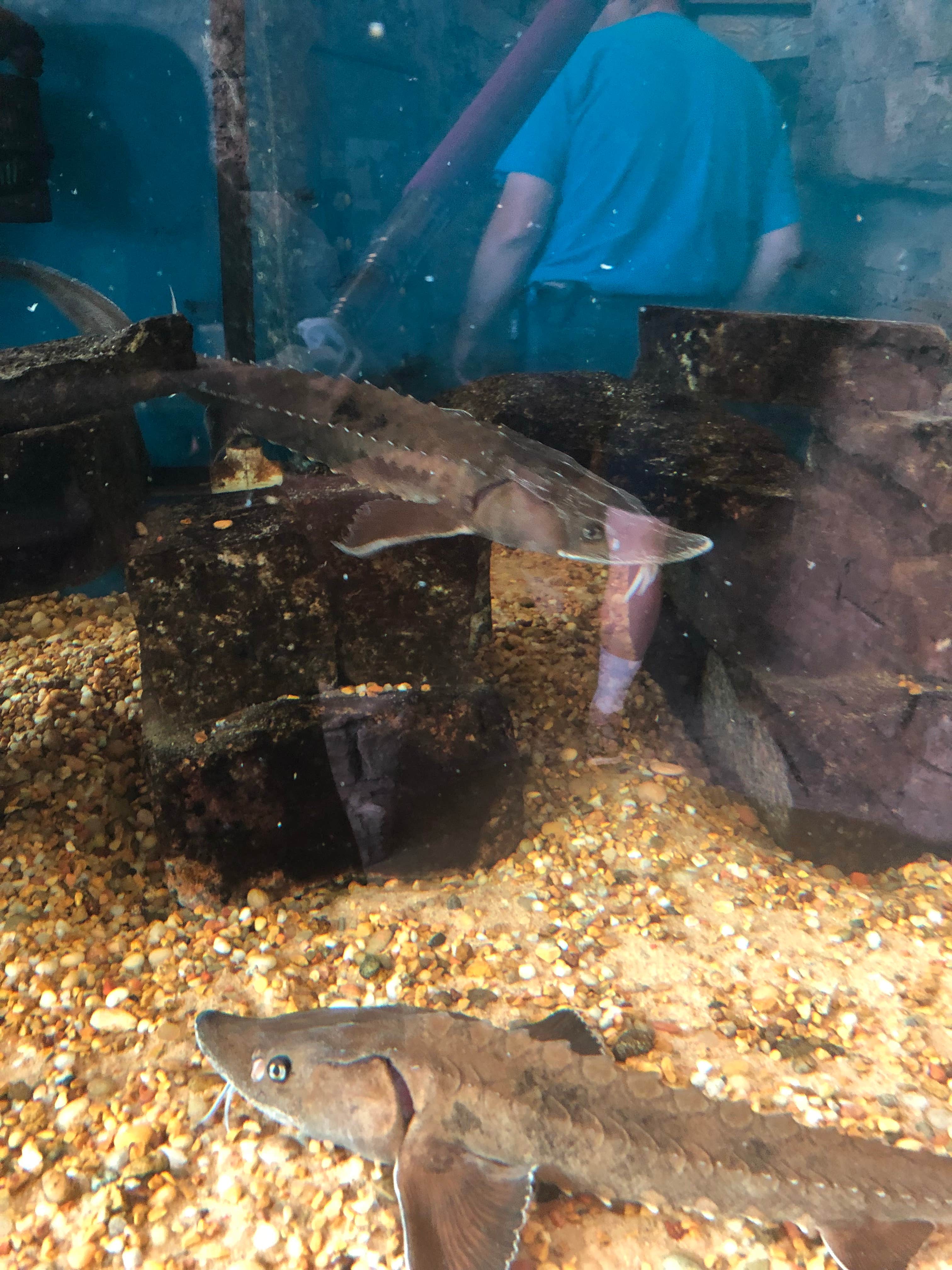 Camper-submitted photo at Broughton Sheboygan Marsh Park Campground near Kiel, WI