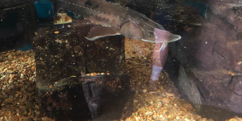 Camper submitted image from Broughton Sheboygan Marsh Park Campground