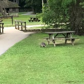 Review photo of Spring Mill State Park Campground by Jill G., August 27, 2018