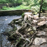 Review photo of Spring Mill State Park Campground by Jill G., August 27, 2018