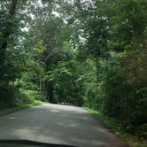 Review photo of Spring Mill State Park Campground by Jill G., August 27, 2018