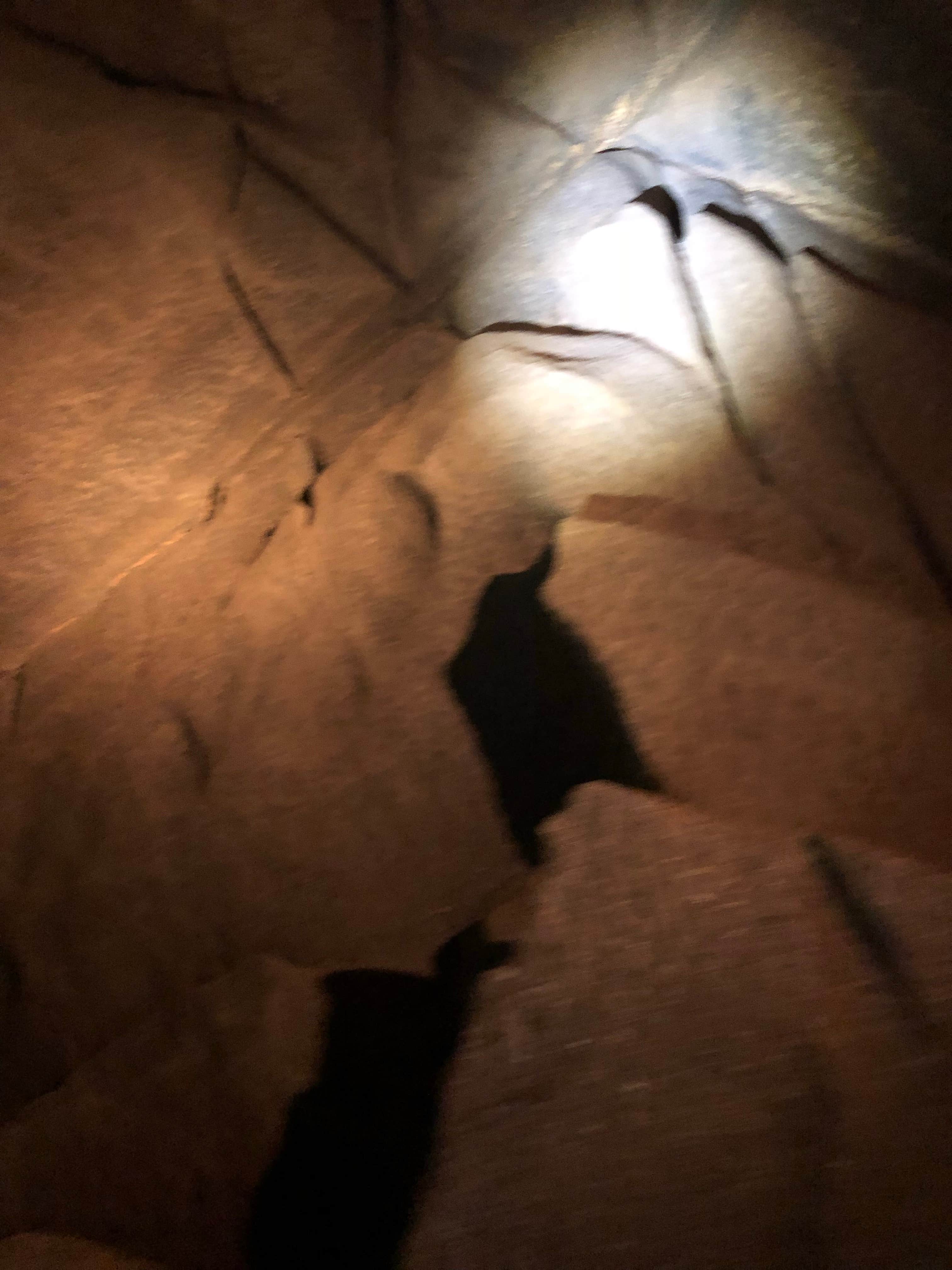 Camper-submitted photo at Spring Mill State Park Campground near Hoosier National Forest