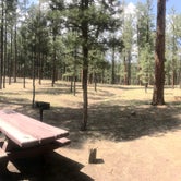 Review photo of Jemez Falls Campground by Robert H., August 27, 2018