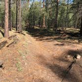 Review photo of Jemez Falls Campground by Robert H., August 27, 2018