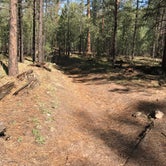 Review photo of Jemez Falls Campground by Robert H., August 27, 2018