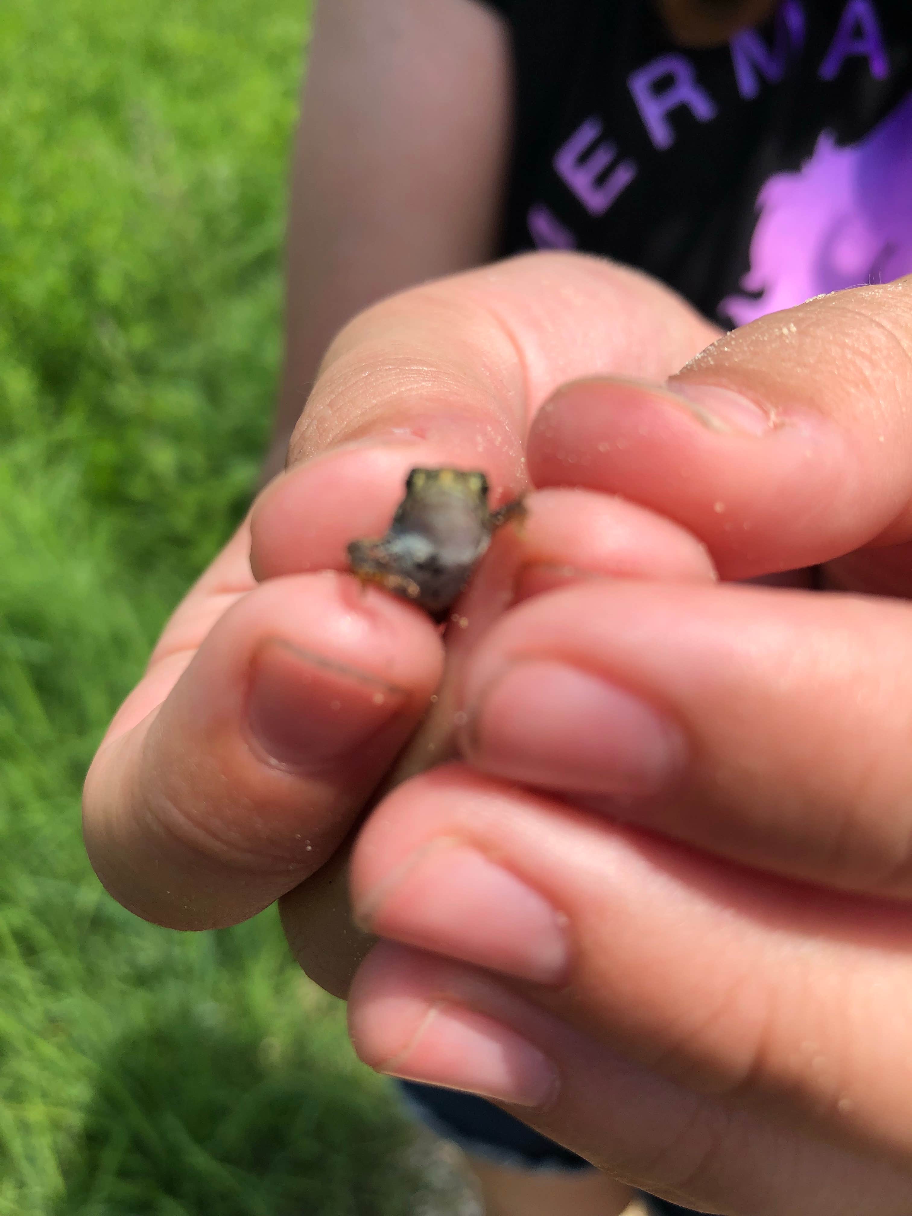 Camper-submitted photo at Ledge County Park near West Bend, WI