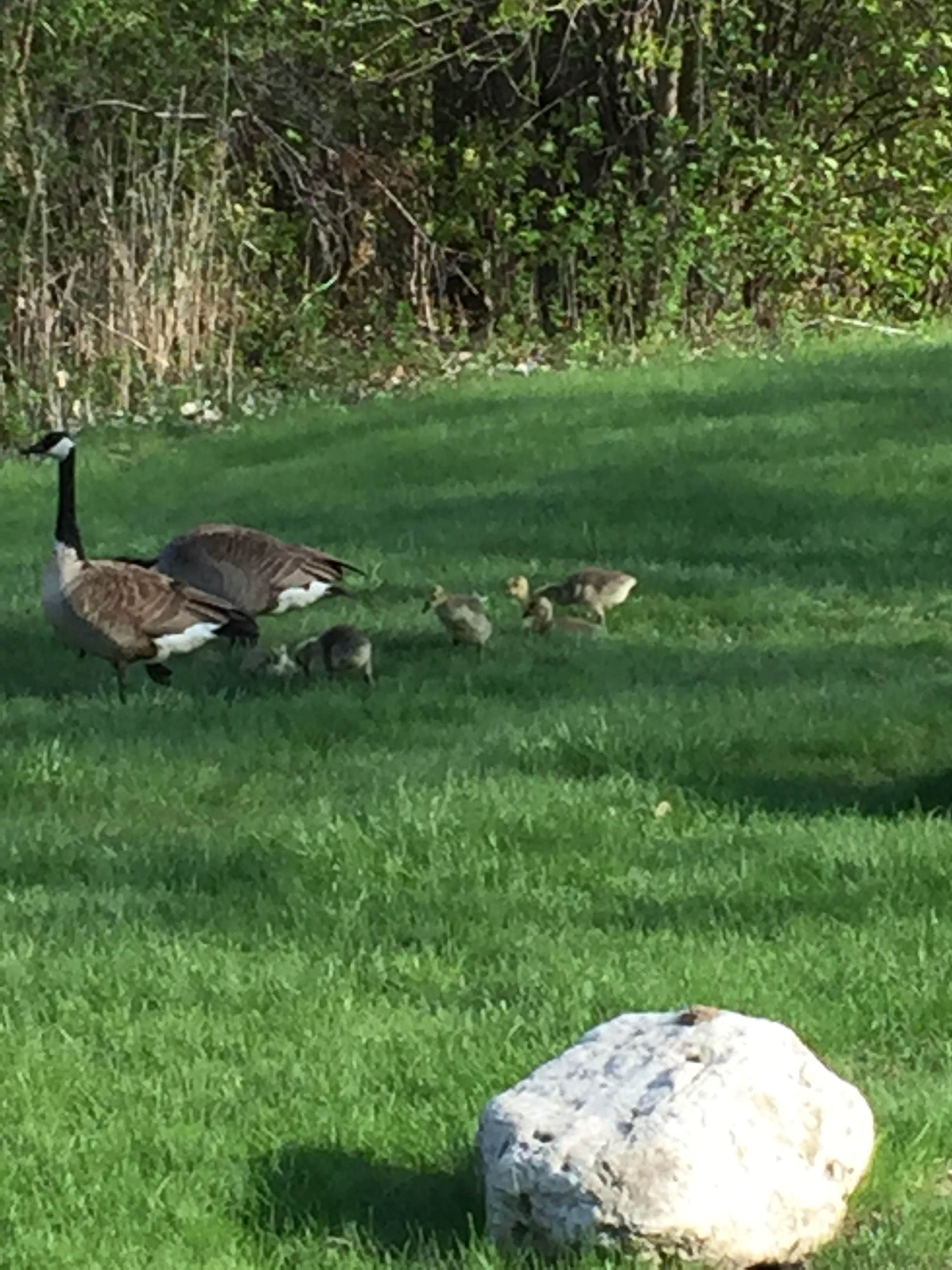 Camper submitted image from Sunrise Campground — Richard Bong State Recreation Area - 5