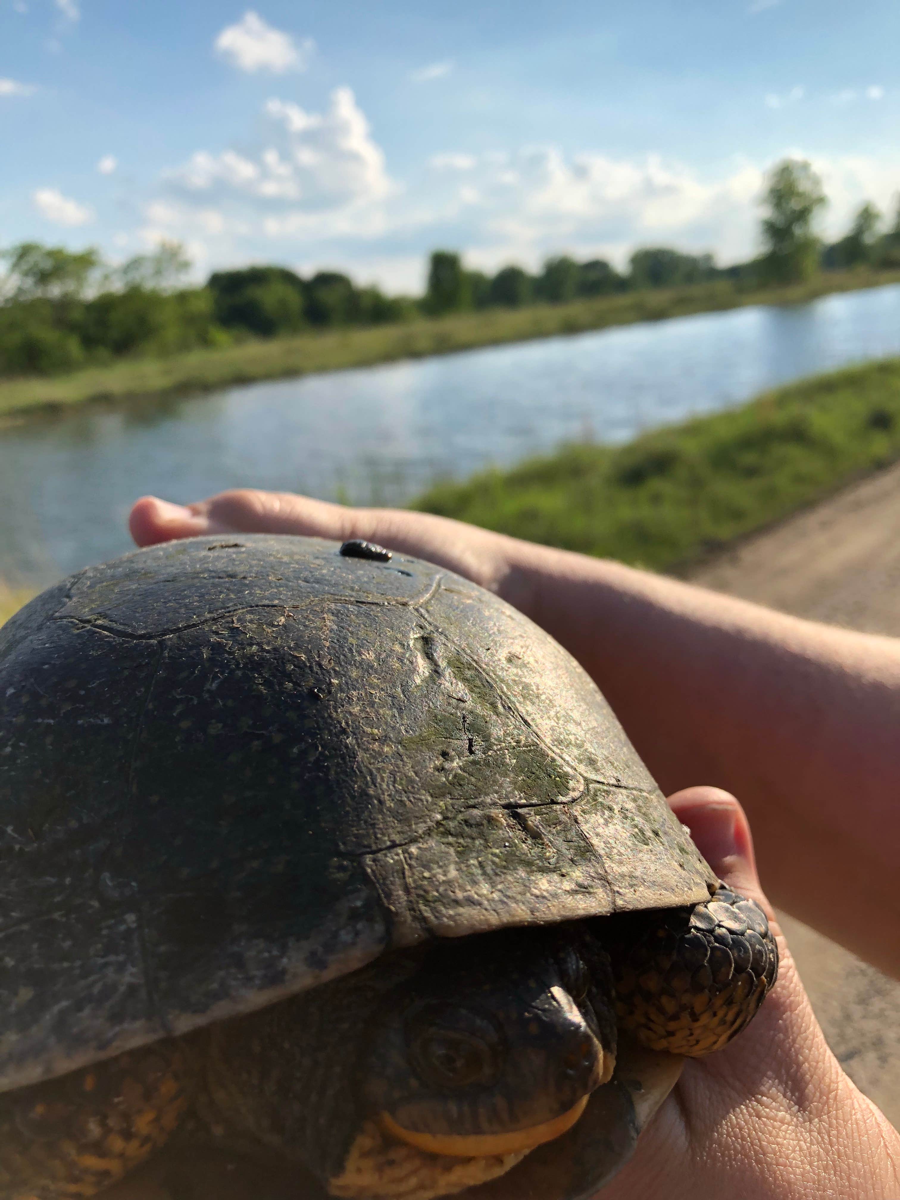 Camper-submitted photo at Sunrise Campground — Richard Bong State Recreation Area near Oak Creek, WI