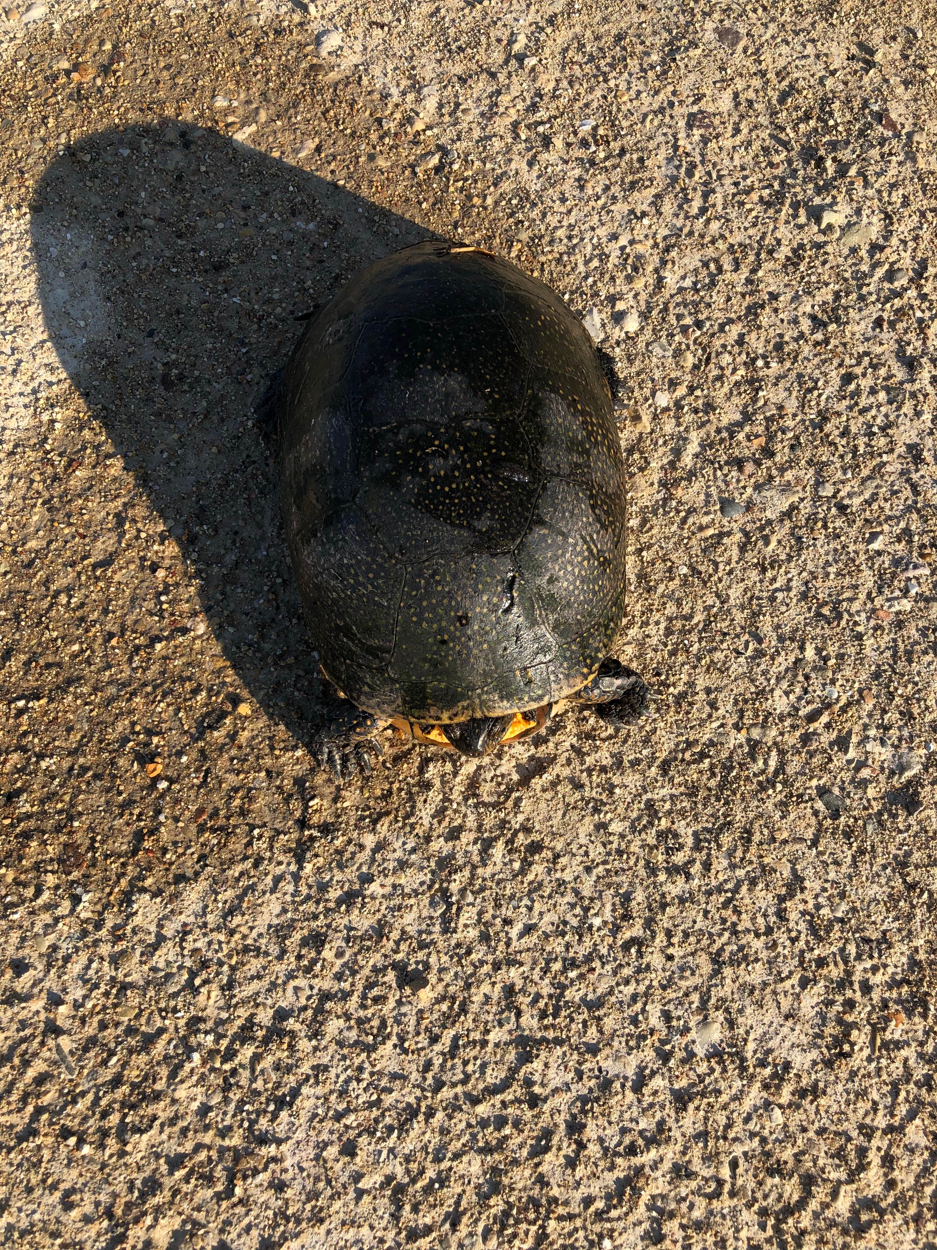 Camper-submitted photo at Sunrise Campground — Richard Bong State Recreation Area near Oak Creek, WI