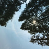 Review photo of Stony Creek Campground - Sequoia National Forest by Hannah M., August 27, 2018