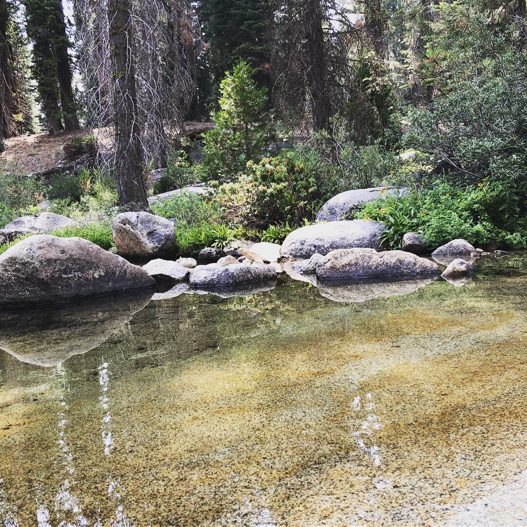 Camper submitted image from Stony Creek Campground - Sequoia National Forest - 5