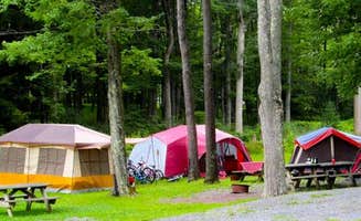 The Dyrt's photo at Seven Mountains Campground near Bellefonte, PA